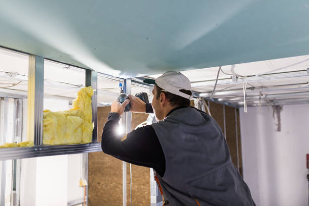 Best Garage Insulation  in Caledonia, MI