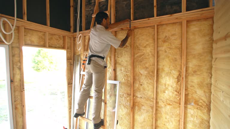 Trusted Caledonia, MI Insulation Experts